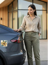 Load image into Gallery viewer, Melodia Gallery hibiscus car magnet, vintage floral art, weather-resistant, US made