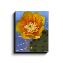 Load image into Gallery viewer, generated-proPreview-5