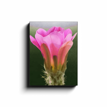 Load image into Gallery viewer, generated-proPreview-5