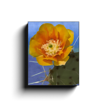 Load image into Gallery viewer, generated-proPreview-2
