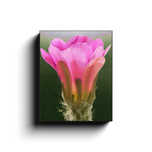 Load image into Gallery viewer, generated-proPreview-2