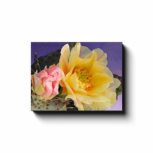 Load image into Gallery viewer, generated-proPreview-5