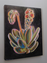 Load image into Gallery viewer, Blooming Echeveria Original Oil Painting