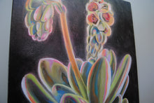 Load image into Gallery viewer, Blooming Echeveria Original Oil Painting
