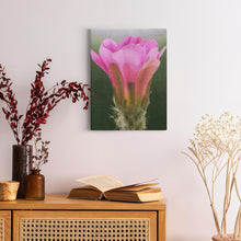 Load image into Gallery viewer, generated-proPreview-4
