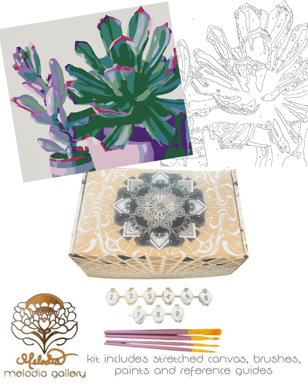 Paint By Numbers Kit, Succulent Pots, DIY Paint by Numbers Kit, Handmade by the Artist.