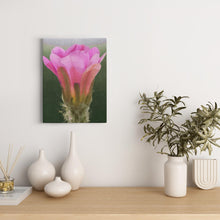 Load image into Gallery viewer, CanvsWrp-BlkWrp-12x16-20260501185018376
