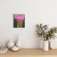 Load image into Gallery viewer, CanvsWrp-BlkWrp-8x10-20260501185018376
