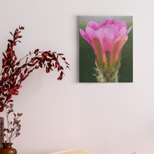 Load image into Gallery viewer, generated-proPreview-1
