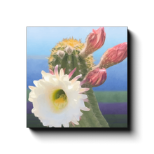 Load image into Gallery viewer, generated-proPreview-2
