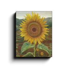 Load image into Gallery viewer, generated-proPreview-2
