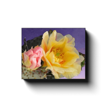Load image into Gallery viewer, generated-proPreview-2
