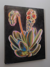 Load image into Gallery viewer, Blooming Echeveria Original Oil Painting
