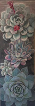 Load image into Gallery viewer, Echeveria II Original Oil Painting
