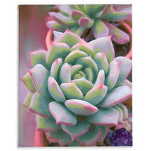 Load image into Gallery viewer, Echeveria With Amethyst, Traditional Stretched Canvas Reproduction, Original Art By Melodia, Contemporary, Modern, Scandi, Botanical Art
