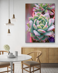 Echeveria With Amethyst, Traditional Stretched Canvas Reproduction, Original Art By Melodia, Contemporary, Modern, Scandi, Botanical Art