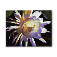Load image into Gallery viewer, Night Blooming Cereus Painting, Original Contemporary Botanical Painting By Melodia, Printed On Traditional Stretched Canvas, Wall Art
