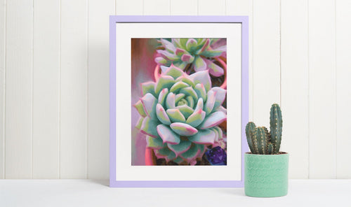 Echeveria W/ Amethyst Painting, Giclee Art Prints, Original Art By Melodia, Succulents, Cactus, Desert, Boho, Contemporary Wall Art